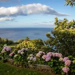 Oásis Fonte Grande Santo Antonio (Sao Miguel)