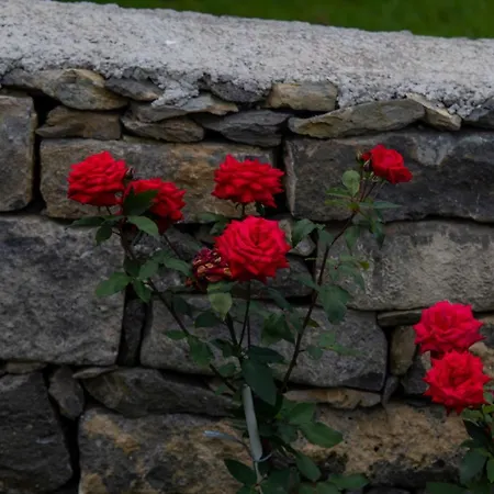 Apartamento Oásis Fonte Grande Santo Antonio (Sao Miguel)