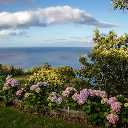 Oasis Fonte Grande Apartment Santo Antonio (Sao Miguel)