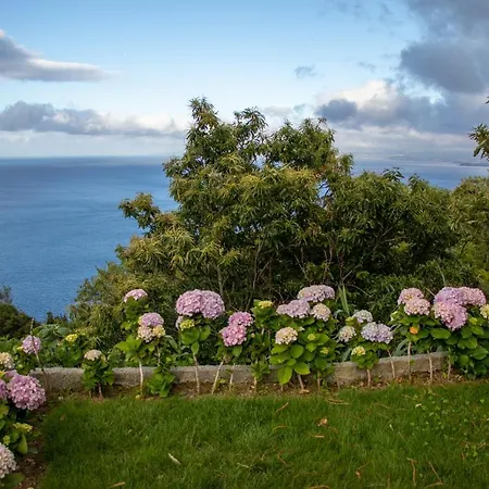 Lejlighed Oasis Fonte Grande Santo Antonio (Sao Miguel)